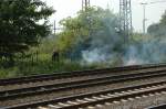 Bschungsbrand im Bahnhof Hamm