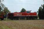 WLE 53/87230/wle-53-mit-bruehnezug-wartet-in Wle 53 mit Brhnezug wartet in Diestedde auf die Streckenfreigabe Richtung Beckum