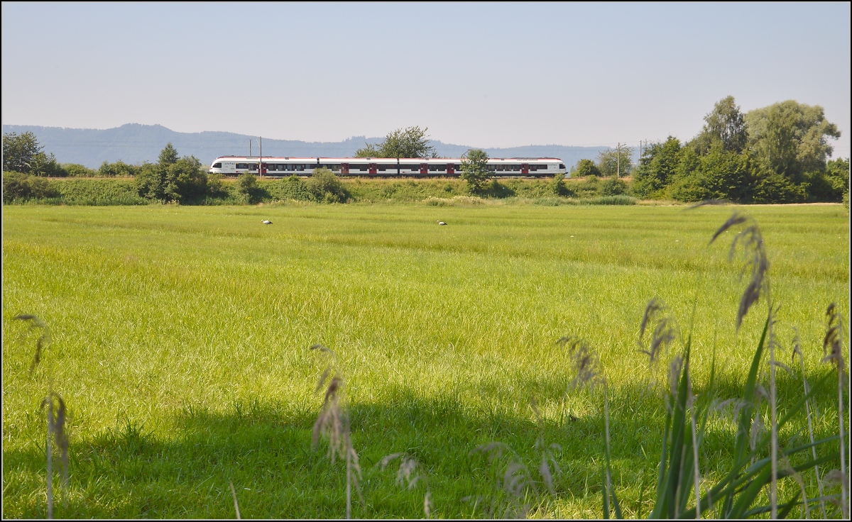 10 Jahre Seehas mit der SBB. 

Zwischen Bodensee und den Hegauvulkanen durchfährt der Seehas eine alte Kulturlandschaft mit freuchten Wiesen. Böhringen, Juli 2015.