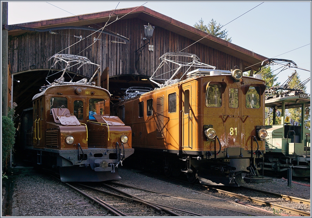 50 Jahre Blonay Chamby - MEGA BERNINA FESTIVAL: Beim Bernina Festival gab es nach vielen Jahrzeinten nicht nur eine  Wiedersehen  der Bernina Bahn (BB) Ge 4/4 81 (ex Ge 6/6 81 bzw. ab Ge 4/4 81) mit dem Bernina Krokodil, sondern auch mit dem Ge 2/2 161  Asnin  (Eselchen) auch wenn dies Lichttechnisch nicht ganz so ideal war.
8. Sept. 2018