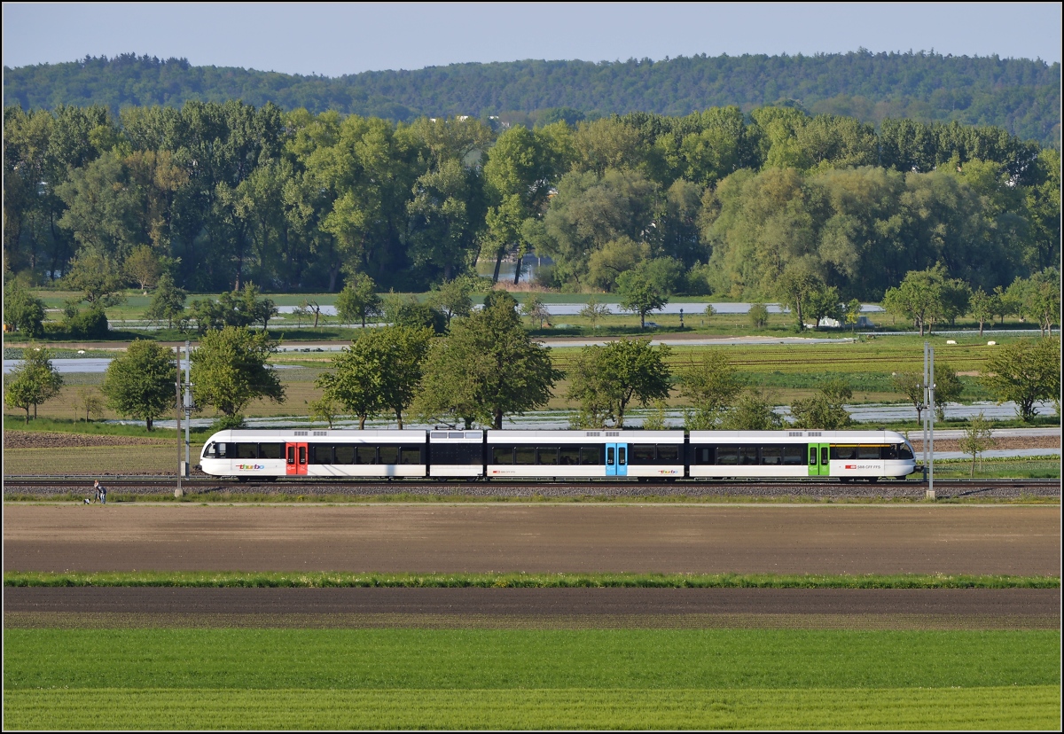 Bahn im Tägermoos. 

S8 Schaffhausen-Herisau im Gemüseland. Im Hintergrund erkennt man den Seerhein. Mai 2014.