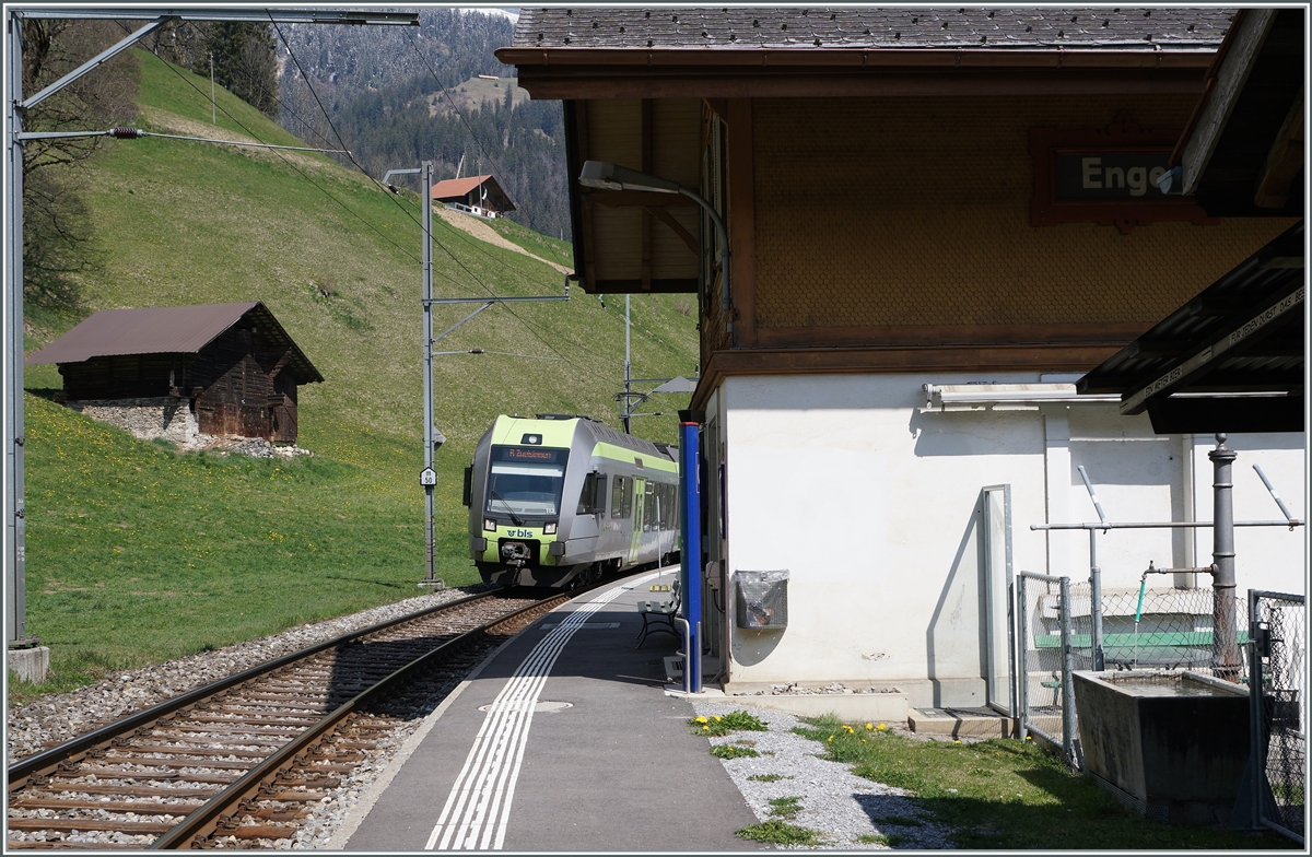 Der BLS RABe 535 113  Lötschbergerin  erreicht Enge im Simmental. 

14. April 2021