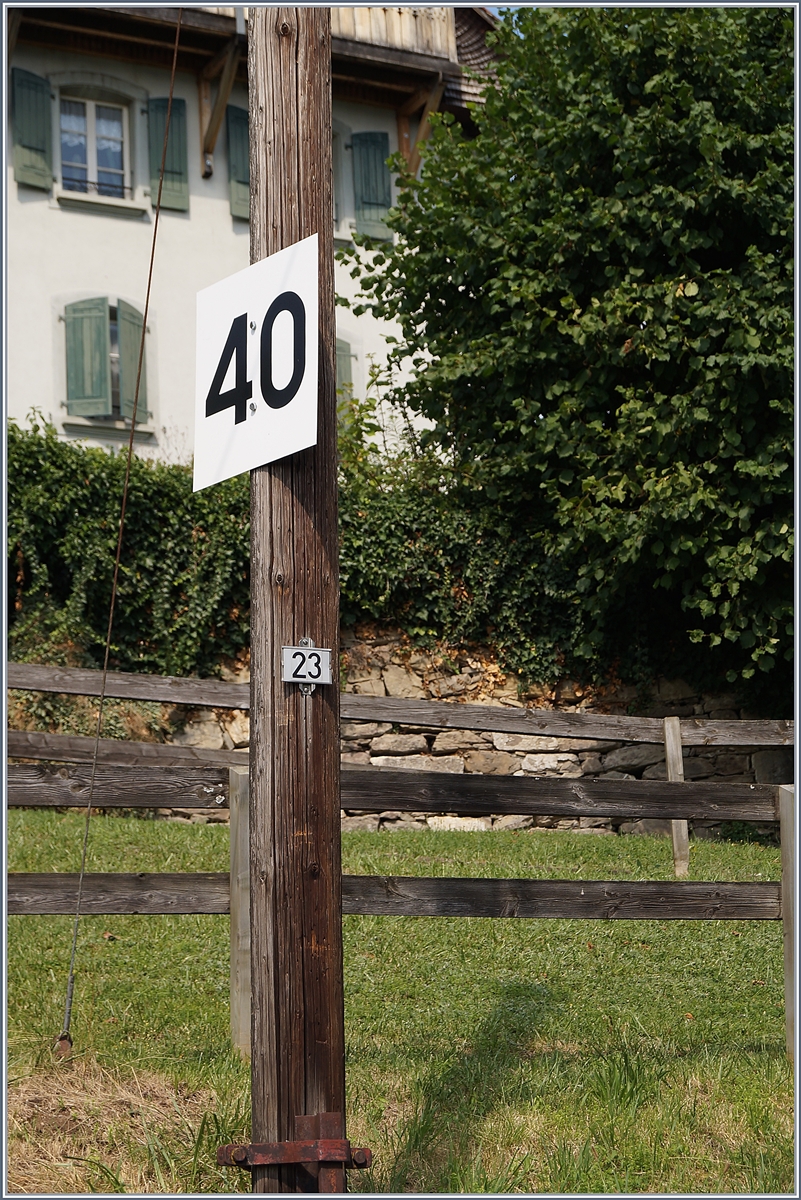 Der Fahrleitungsmast N° 23: Als es vor gut fünfzehn Jahren darum ging, die Holzmasten durch Metalmasten zu ersetzen und dabei den Abstand von Mast zu Mast zu vergrössern, wehrte sich ein Anwohner mit Erfolg vor Gericht dagegen und so blieb der Fahrleitungsmast N° 23 in St-Légier stehen und trägt neuerdings sogar eine interessante Signaltafel mit der die hier einzuhaltende Höchstgeschwindigkeit angezeigt wird; bedeutend insofern, als dass die MVR die Höchstgeschwindigkeit seit dem 1. Juli 2019 um 25 % erhöht hat und nun auf dafür ausgebauten Streckenabschnitten mit bis zu 50 km/h unterwegs ist.

30. Juli 2019