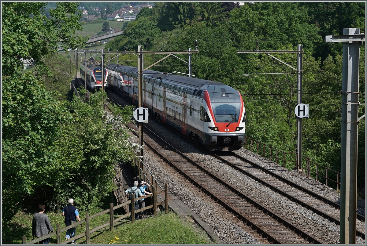 Ein RABe 511 als RE nach Romont kurz nach Bossière. 
26. Mai 2016