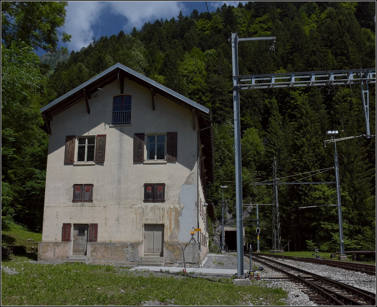 Ergänzung zu Stefans  Bahnhofsbild  ohne Weiche zwei Stationen weiter ein Bahnhof mit Weichen aber ohne blaue Säule und ... ohne Machete kaum erreichbar. Passend zur Location im tiefen Tal und finsteren Wald heißt die Station  Jor  was aus dem Keltischen stammt und nichts anderes heißt als Wald. Wäre man sich nicht sicher, in Mitteleuropa zu sein, so würde man völlig emotionslos mit der Schulter zucken, kämen gerade Michael Douglas und Kathleen Turner auf der Jagd nach dem grünen Diamanten den Hang runter gerutscht. Mein Diamant war allerdings nicht grün, sondern ein fantastischer Käse aus der namensgebenden Lichtung ca. 100 Höhenmeter oberhalb mit 3 Häusern. Filmreif hingegen ist das Zug anhalten. Man winkt dem Lokführer mit erhobener Hand. Dann hält der Zug und man darf über Gleise und Weichen stolpern um in den Zug zu klettern. Wie war das im Mittelteil? Mitteleuropa? Jor, Juni 2018.