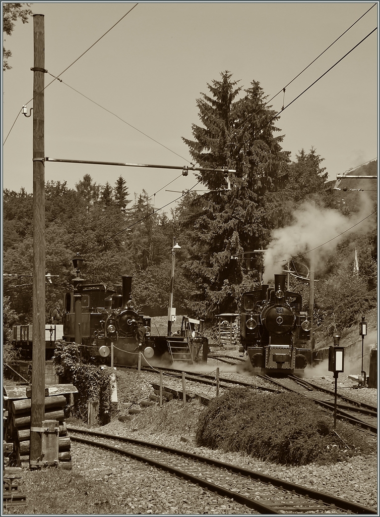 Es dampft und raucht im  BW  von Chaulin: Links im Bild die G 3/3 N° 6, rechts die G 2x 2/2 105. 

9. Juni 2014