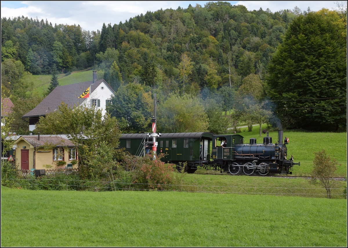 Fahrtag DVZO mit 120-jähriger Lady.

Ed 3/3 401 'Bauma' in Neuthal. Oktober 2021.