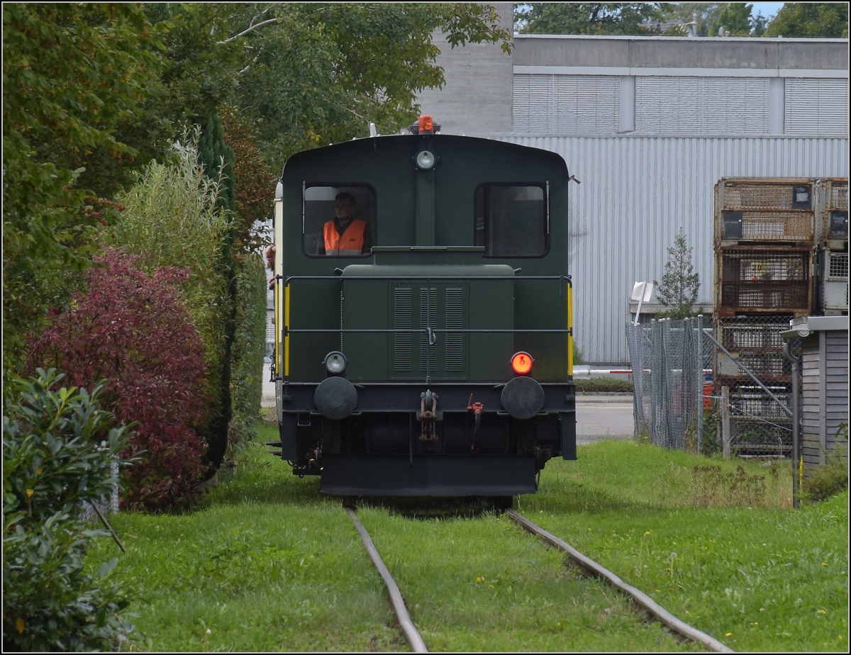 Fahrtag Wolfhuuser Bahn.

Tm 2/2 111 f�hrt an einer akurat geschnittenen Hecke in Wolfhausen vorbei. Oktober 2021.