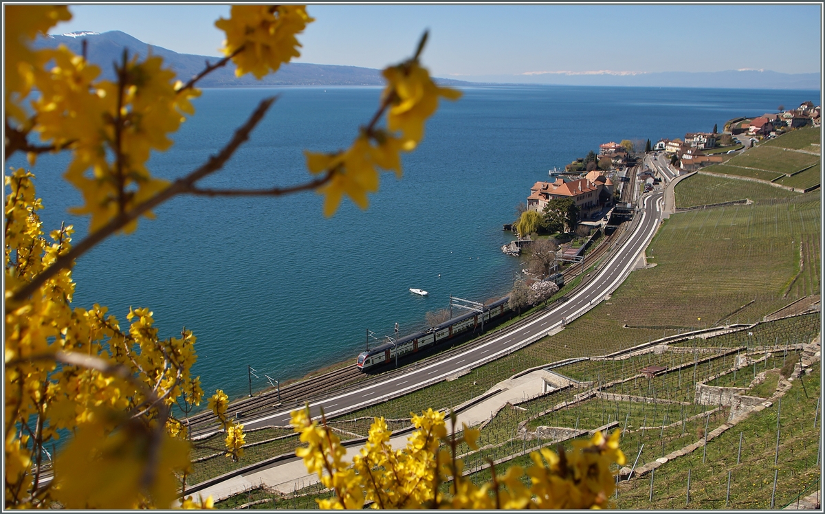 Frühling im Lavaux: ein RABe 511 als RE 3217 von Genève nach Vevey kurz nach Rivaz.
6. April 2015