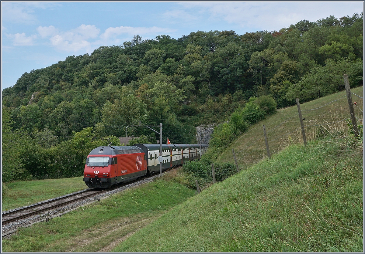 Im Sommer 2018 standen unter anderem auch auf der Hauensteinlinie Baumassnahmen an, so dass die  Alte Hauensteinlinie  in den Genuss von Umleitungsverkehr kam: Eine SBB Re 460 erreicht  zwischen Läufelfingen und Buckten den  Buckten Tunnel (263 Meter).

7. August 2018
