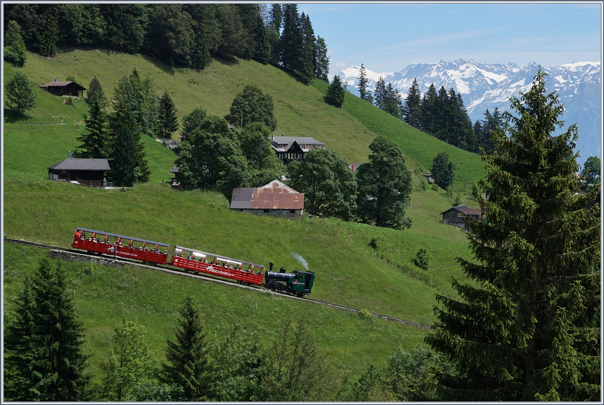 Kurz unterhalb von Planalp zeigt sich dieser talwärts fahrende BRB Dampfzug.
7. Juli 2016