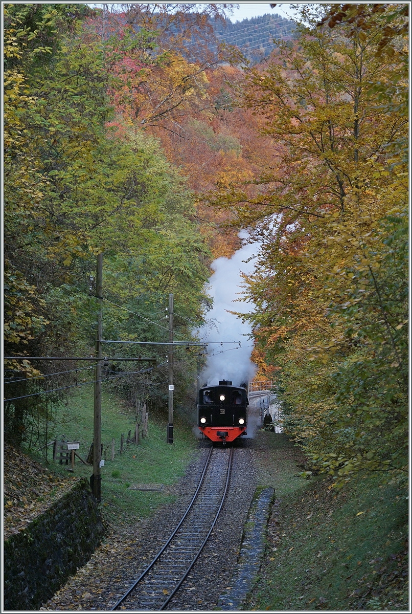  LA DER 2020 du Blonay-Chamby  / Saison Abschluss der Blonay-Chamby Bahn: Mit einem verstärkten Fahrplan und viel Dampf wird vor dem  Winterschlaf  (bzw. Arbeit im DépÔt Chaulin) nochmals viel Betrieb gemacht. Die G 2x 2/2 105 mit ihrem Reisezug auf dem Weg nach Blonay kurz nach dem Überqueren des Baye de Clarnes Viaduktes. 

24. Okt. 2020