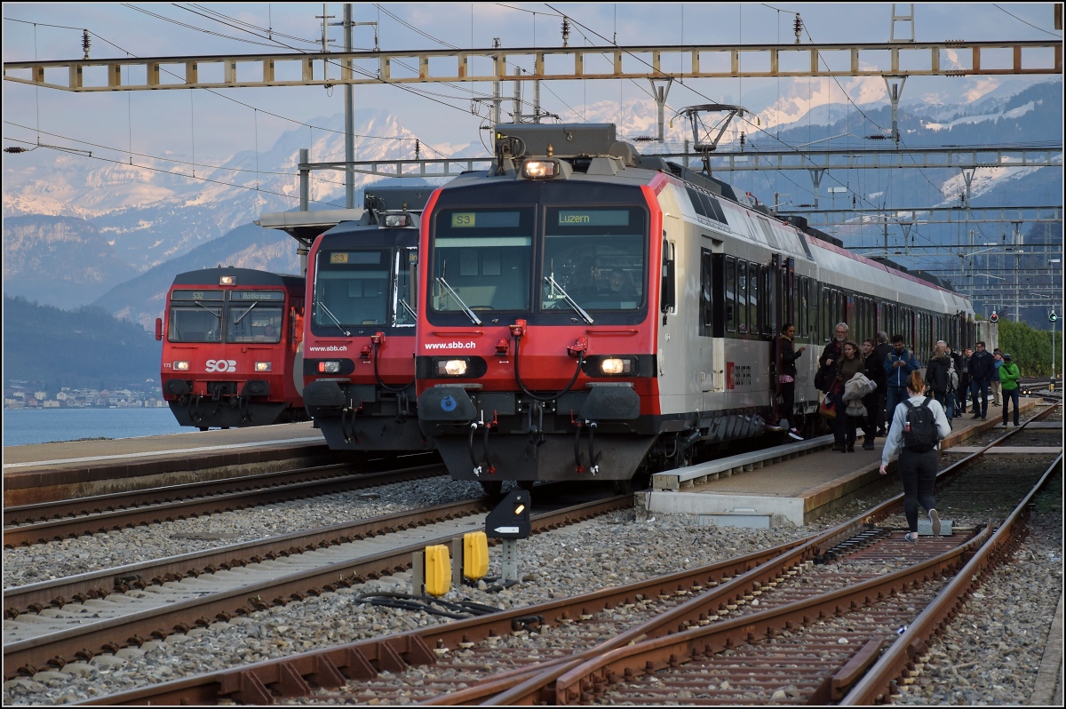 NPZ-Treffpunkt Immensee, der Nahverkehr nach Rotkreuz über die aargauische Südbahn wird durch die SOB bedient, hier mit dem ehemaligen BT-NPZ nach BLS-Baumuster und die SBB mit zwei NPZ-Domino, die von der Gotthardstrecke nach Luzern deren Seitenast bedienen. Blickrichtung Gotthardstrecke. März 2019.