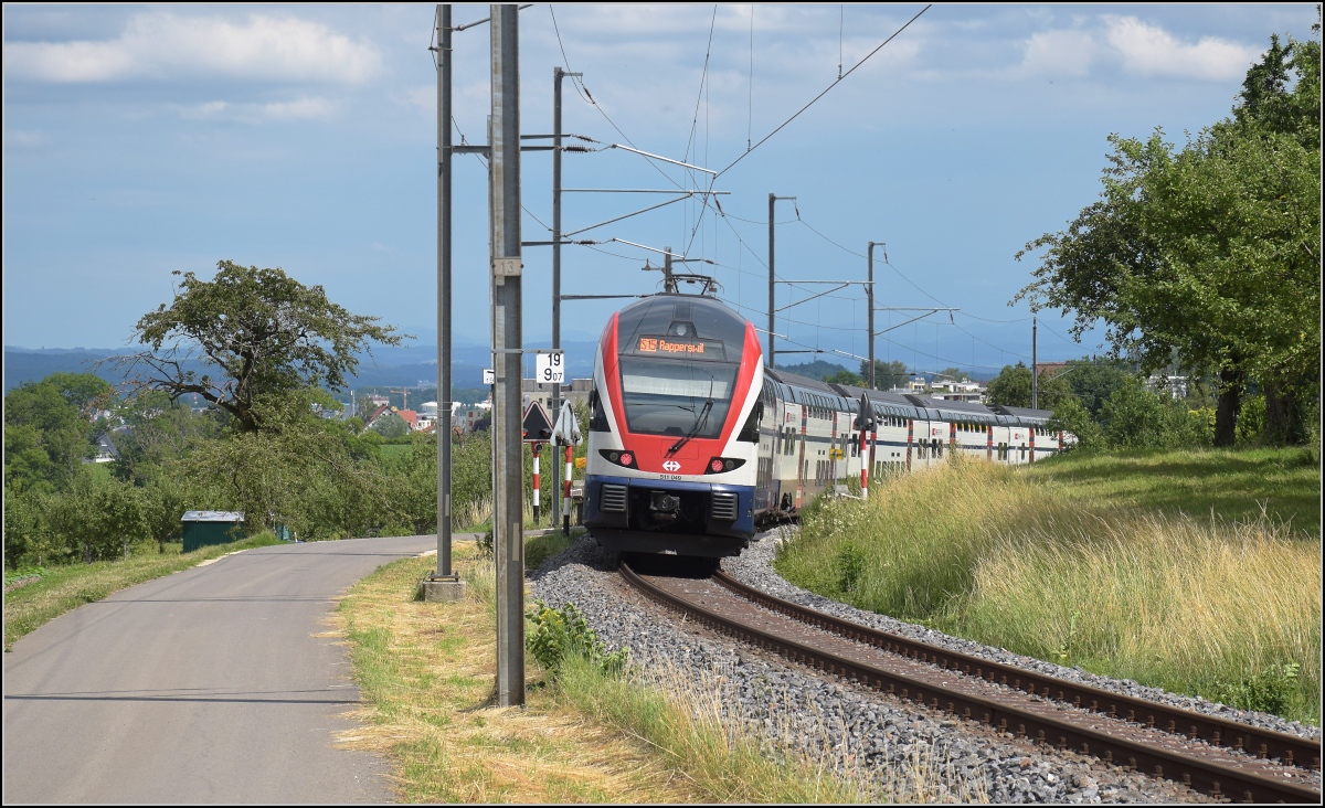 RABe 511 049 als S 15 nach Rapperswil. S�nikon Juni 2019.