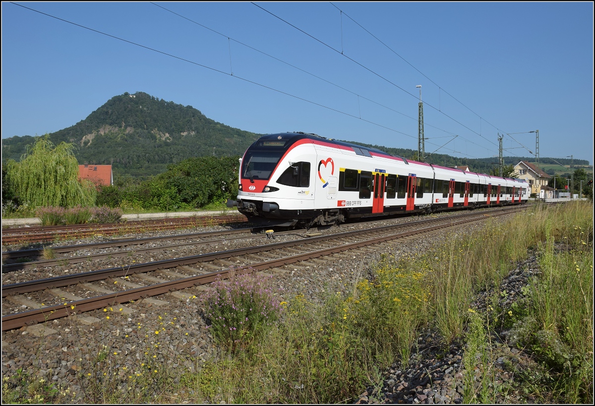 Rheintalumleiter im Hegau.

Nur ein bisschen im Hegau zuhause ist der Basler Flirt mit dem Herzchen. Manche nennen ihn auch den Wiesentäler, weil diese Züge extra für das Wiesental mit Deutschlandpaket beschafft wurden. Nach dem Refit bekamen sie ein Herz mit den jeweiligen Landesfarben als Werbung für die Triregio Basel. Derzeit weilt RABe 521 010 als Aushilfe an Bodensee, Seerhein und Hegau.
 
Welschingen, August 2021.
