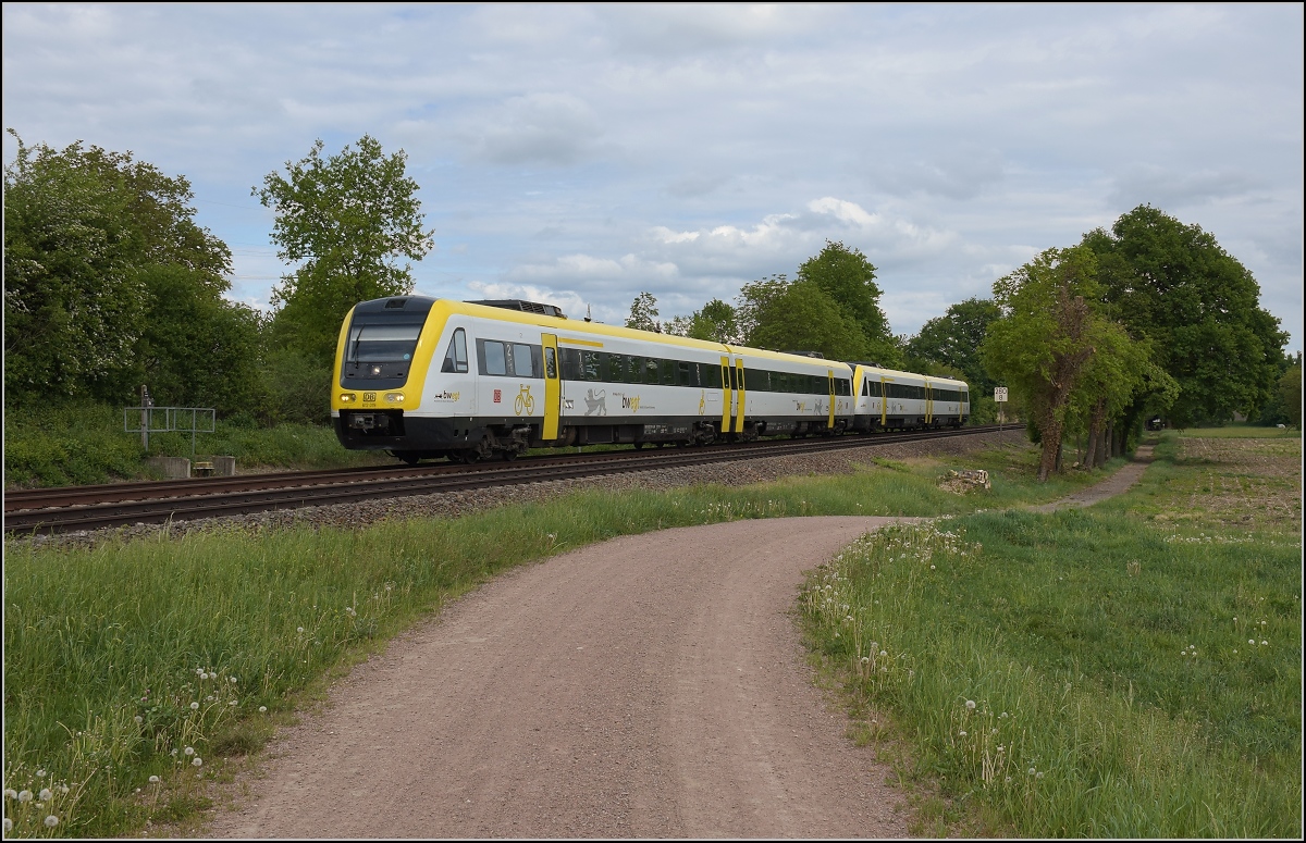 Traktionswandel am Hochrhein, der einzigen  Schweizer Dieselstrecke , die Schaffhausen mit Basel verbindet, sowie auch Rheinfelden AG, Stein-S�ckingen.

Am Bahn�bergang der B 34 beim Markhof nahe des Bahn�bergangs zur B 34 fahren 612 019 und 612 014 vor�ber. Mai 2018. 