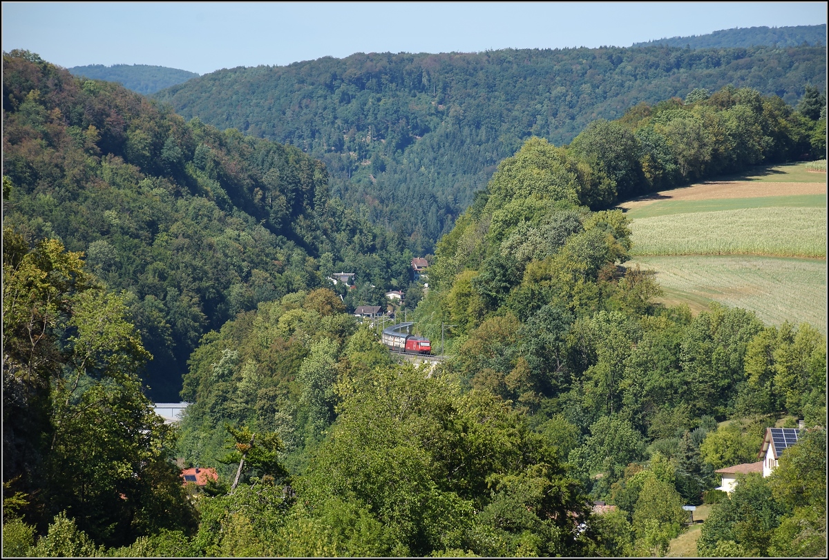 Umleiterverkehr auf dem L�ufelfingerli. Blick in das Homburger Tal. Der IC f�hrt bei Bukten den Hang entlang richtung R�mlingen. August 2018.