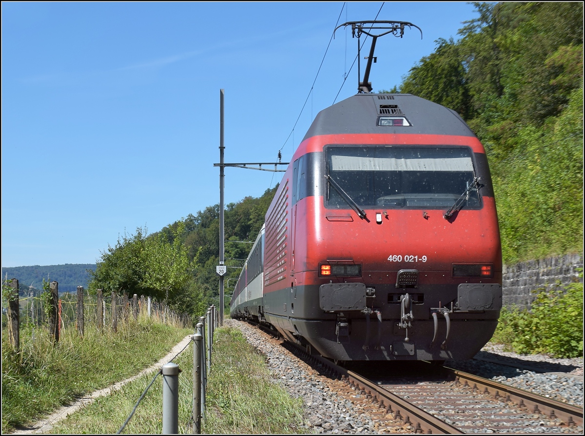 Umleiterverkehr auf dem L�ufelfingerli. Ein IC mit Re 460 021-9 auf dem Weg nach Basel. Sommerau, August 2018.