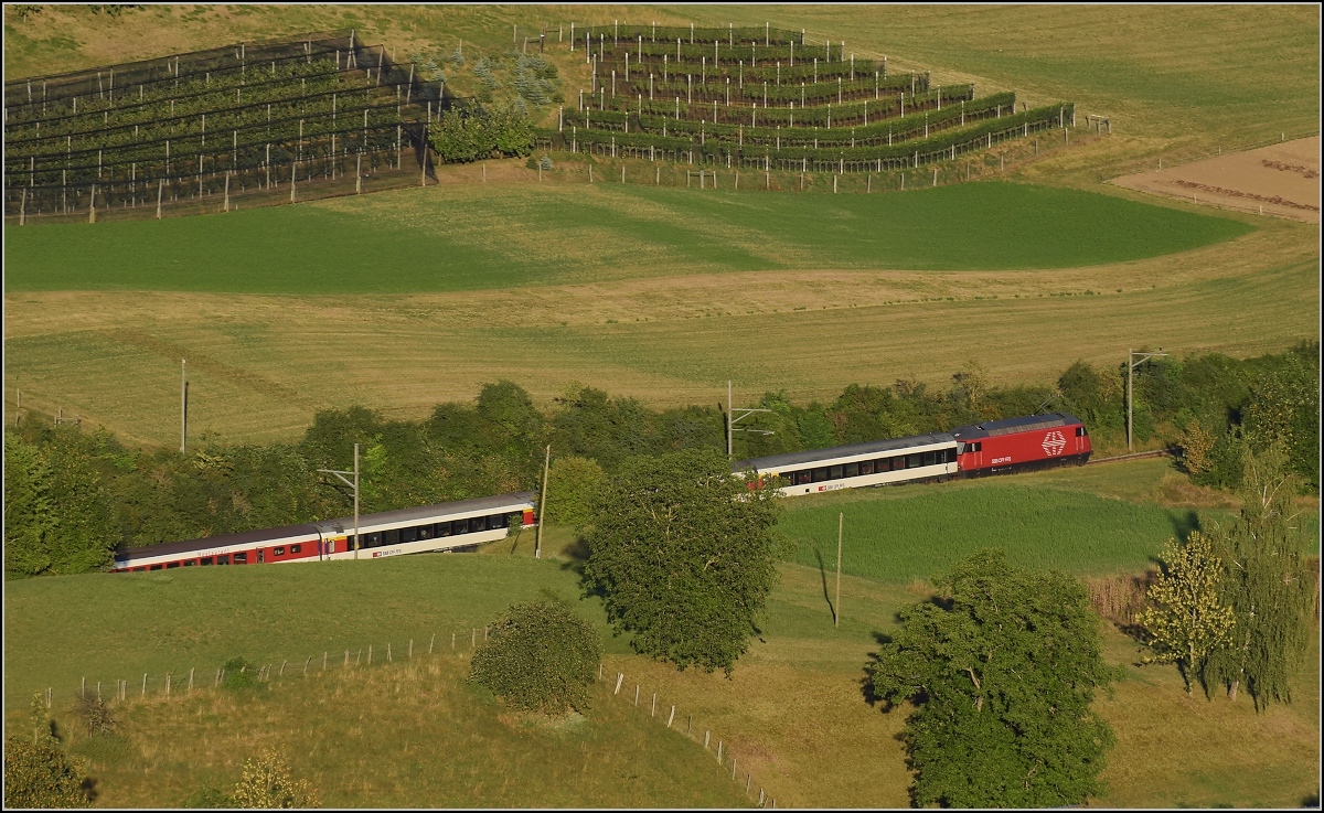Umleiterverkehr auf dem L�ufelfingerli. Ein IC mit EW IV verschwindet im Einschnitt. Th�rnen, August 2018.