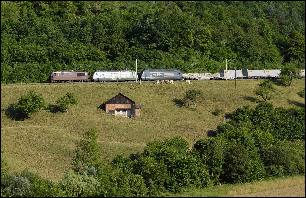 Umleiterverkehr auf dem L�ufelfingerli. Re 425 172, Re 465 008  Berggemeinden  und Re 465 010 f�hren einen l�ngeren G�terzug richtung Basel. R�mlingen, Juli 2018.