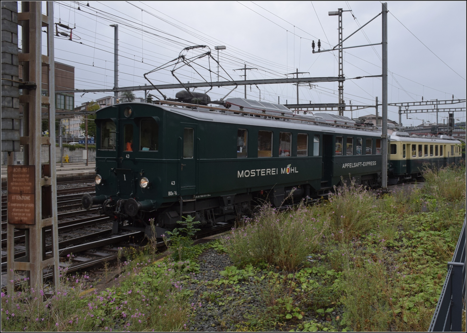 Depotfest Olten 2023. 

BDe 3/4 43 'Tino' der Bodensee-Toggenburg-Bahn wurde 1938 als BCFe 2/4 in Dienst gestellt und 1949 mit einer weiteren Triebachse versehen. August 2023.