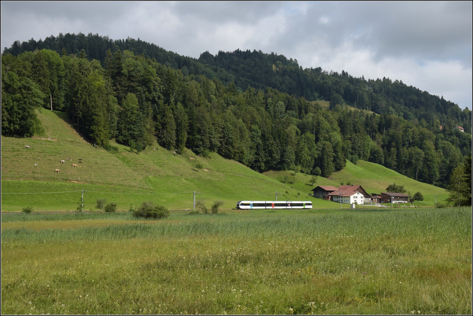 Turbo-GTW RABe 526 auf der T�sstalbahn zwischen Fischenthal und Gibswil. Juli 2023.