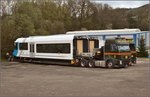 Ohne Blumen in den Haaren, daf�r mit dem etwas anderen Triebcontainer.