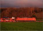 185 299 während des Sonnenuntergangs in Buggingen.