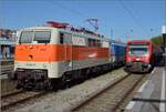 Zum Thema Nahverkehr vor 40 Jahren. Hier gibt es einen  Museumsverkehr  vom Feinsten diesen Sommer. 

111 185 präsentiert sich im S-Bahn-Look, der ihr nicht schlecht steht. Rechts eine Vierfachtraktion 650 für die Gürtelbahn, vorne 650 108, solch ein großes Aufgebot hatte ich hier noch nie gesehen... Radolfzell, Juli 2022.
