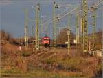 IC 1279 von Berlin nach Basel SBB mit 101 030.