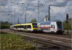 Beim Seehäsle stehen die Zeichen noch auf HzL (Hohenzollerische Landesbahn).