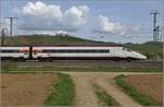 RABe 503 019-6 auf seiner Reise nach Frankfurt.