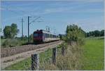 Der TER 18121 zwischen Frasne und Pontarlier in der Nähe von Bannans.