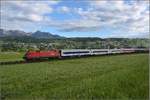 Bei Nendeln in Lichtenstein fährt 1116 263-5 mit EN 414 Belgrad-Zürich vorbei.
