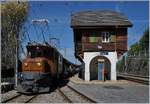 50 Jahre Blonay Chamby - MEGA BERNINA FESTIVAL: Die RhB Ge 4/4 482 in Chamby.