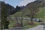 Ein BLS RE von Interlaken nach Zweisimmen bei der Durchfahrt in Enge im Simmental.