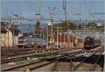 Während ein SBB RABe 511 Lausanne verlässt, erscheint aus der Gegenrichtung die (ex) SNCF 141 R 568 mit ihrem langen Extrazug.