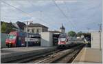 In Schaffhausen wartet der SBB RABe 511 023 als RE nach Zürich auf die Abfahrt.