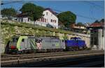 Das SBB-Cargo blau lässt doch vermuten, dass diese in Spiez abgestellte Diesellok mit der Anschrift UIC Bezeichnung 90 80 1 002 102-4 DALS ev bei der SBB zum Einsatz kommen könnte.