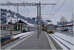 Ein BLS  MIKA  RABe 528 nach Bern zwischen zwei Lenkerpendel Be 4/4 (Serie 5000) in Zweisimmen.