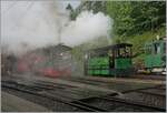 50 Jahre Blonay - Chamby; Mega Steam Festival: - Als eine der Gastdampflok ist die TS 60 (1898) zur Feier angereist; hier dampft sie mit der G 2/2 N° 4 in Chaulin.