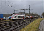 Schlechtwetter und ein Baustellendrama bei Frick. 

Am 843 093 wartet mit einigen Kesselwagen in Sisseln zwei Gegenz�ge ab. Nachdem eine rote Am 843 mit einigen Bauwagen und einer Am 841 gekreuzt war, die ich nicht mehr erwischt habe, mussten noch die beiden Flirts RAB e523 011 und RABe 521 014 (im Bild) abgewartet werden. Februar 2026.