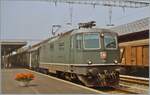 Die SBB Re 4/4 II 11162 hält mit ihrem Regionalzug nach Arth Goldau in Wohlen kurz an.