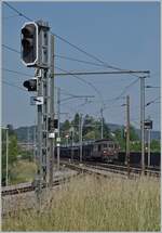 BLS Re 4/4 166 - 173, ab 1970; die BLS Re 4/4 173  Lötschental  ist bei der WB Haltstelle Altmarkt auf dem Weg in Richtung Olten.  

22. Juni 2017 