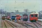 Ende April 1985 fand in Aarau die Versammlung der  Eisenbahnamateur Delegierten  statt und neben einigen Normalspurloks der SBB zeigte die WSB diese hier zu sehenden Fahrzeuge vor ihrem Depot: (von