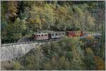 La DER 2019 (Saison Abschluss 2019) Die BOB HGe 3/3 29 der Blonay - Chamby Bahn ist mit dem BOB C3 N° 6  Kaiserwagen  und dem NStCm C4 N° 7 ist bei Vers-Chez-Robert auf dem Weg nach Blonay.