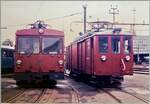 Anlässlich der Eisenbahn Amateur Delegierten Versammlung in Aarau zeigen die WSB und SBB einige Fahrzeuge.
