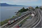 Ein SBB RABe 511 als RE nach Annemasse bei der Durchfahrt in Rivaz.