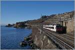 Auf der Strecke zwischen Lausanne und Vevey kommen kaum mehr Domino Triebzüge zum Einsatz.