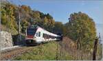 Von den vielen Tunneln in der Schweiz ist der Salanfe Tunnel auf der  Train de Vignes -Strecke wohl einer der unbedeutendsten, zudem er nur zwanzig Meter lang ist.